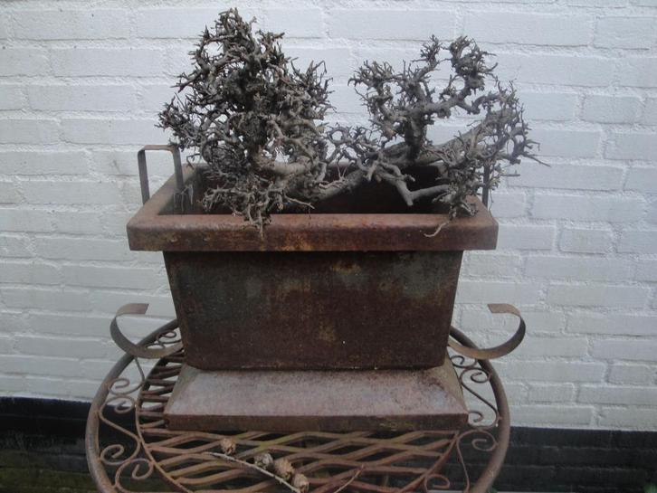 2 metalen strakke vazen voor binnen of buiten, Tuin en Terras, Tuinvazen, Nieuw, Ophalen of Verzenden