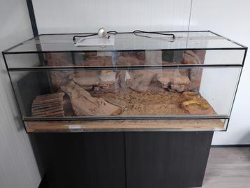 reptielenterrarium beschikbaar voor biedingen