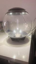 Biorb 60 L, Dieren en Toebehoren, Ophalen, Leeg aquarium