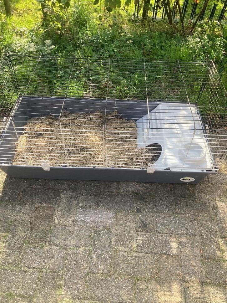 Ferplast kooi binnen konijn cavia 118x57x48, Dieren en Toebehoren, Knaagdieren en Konijnen | Hokken en Kooien, Zo goed als nieuw