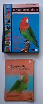 Voor de Agaporniden liefhebber, Dieren en Toebehoren, Vogels | Parkieten en Papegaaien, Dwergpapegaai of Agapornis