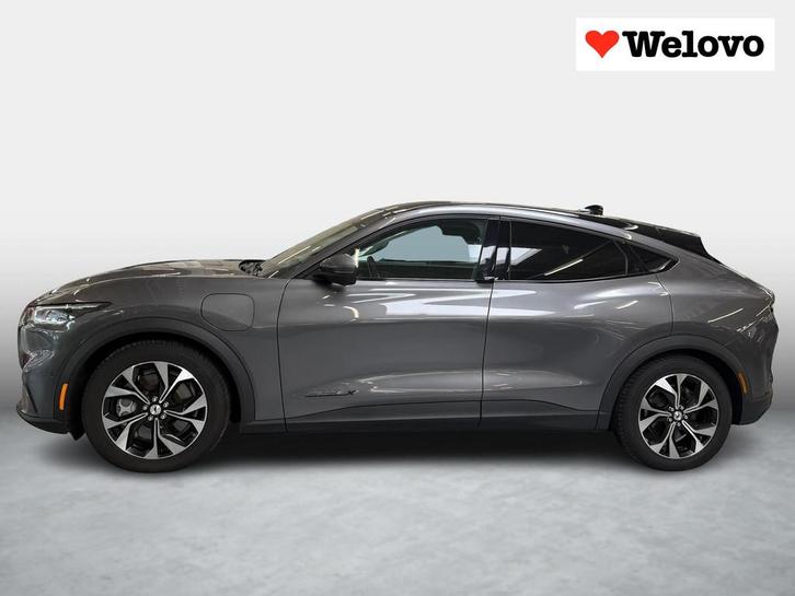 Ford Mustang Mach-E Extended RWD 98 kWh Grote Accu SOH 92.6, Auto's, Ford, Bedrijf, Te koop, Mustang, 360° camera, ABS, Achteruitrijcamera