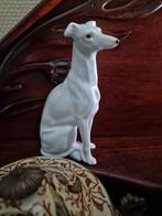 Beeld Hond Whippet, Ophalen of Verzenden