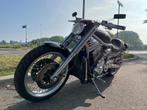 Harley Davidson Chopper VRSCA V-Rod, Motoren, Motoren | Harley-Davidson, Chopper, Bedrijf, 1130 cc, Meer dan 35 kW