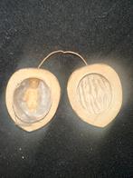 Oude antieke kerstbal noot, Diversen, Kerst, Ophalen of Verzenden