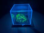 Uranospinit / ouraline / UV Glow, Ophalen of Verzenden, Mineraal