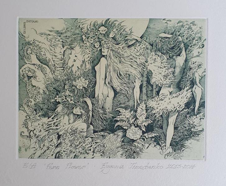 Exlibris / Ex libris E. Timoshenko, Fern Flowers, Antiek en Kunst, Kunst | Etsen en Gravures, Verzenden