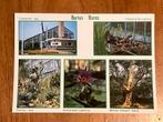 Hortus Haren., Ophalen of Verzenden, 1980 tot heden, Gelopen, Groningen