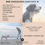 Hondendagopvang en Hotel, Hondenschool SPPD CKI accredit, Trimmen of Verzorging