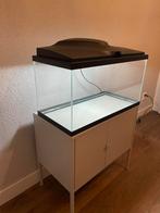 Complete aquariumset - met filter, lamp en heater, Ophalen, Zo goed als nieuw, Leeg aquarium