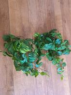 Nep plant kunst plant, Huis en Inrichting, Ophalen of Verzenden