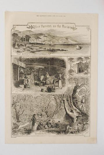 Olijvenoogst aan de Rivièra - C.J. Durham (1874) beschikbaar voor biedingen