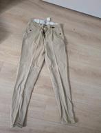 Harry's Horse 40, Dressuur, Zo goed als nieuw, Dames, Onderkleding