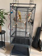 Vogelkooi, Dieren en Toebehoren, Vogels | Hokken en Kooien, Ophalen, Vogelkooi