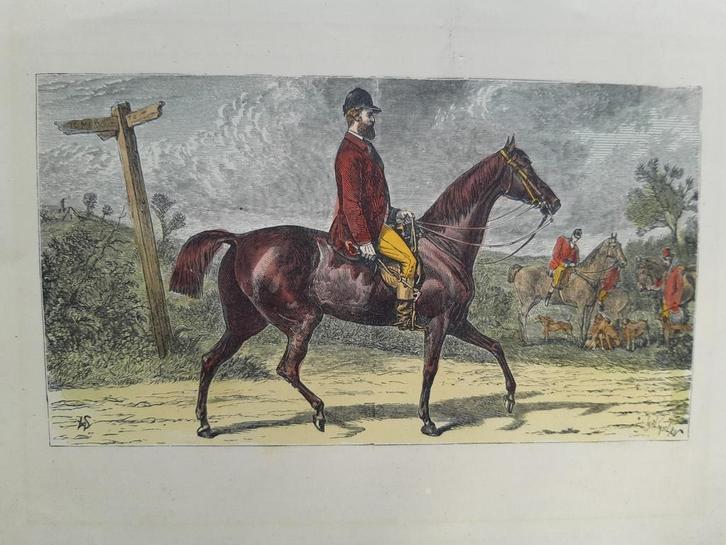 13 / gekleurde gravure uit 19e eeuw Paarden en de jacht, Antiek en Kunst, Kunst | Etsen en Gravures, Ophalen of Verzenden