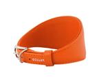 WAUDOG Glamour Halsband Windhond Oranje Nek 34-40 cm KOOPJE!, Ophalen of Verzenden, Handgemaakt, Nieuw