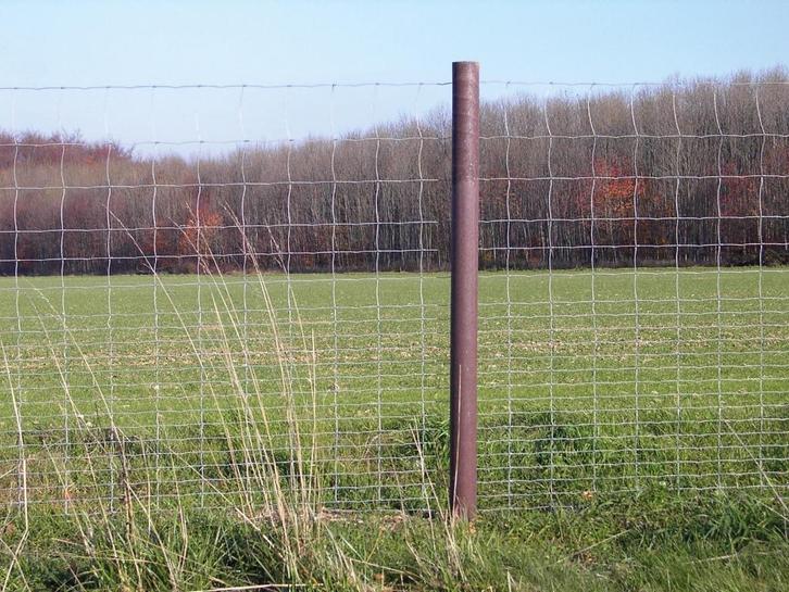 kunststof palen planken, Tuin en Terras, Palen, Balken en Planken, Nieuw, Palen, Minder dan 180 cm, Ophalen