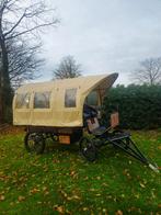 Paarden koets, Dieren en Toebehoren, Rijtuigen en Koetsen, Gebruikt, Overige typen, Paard