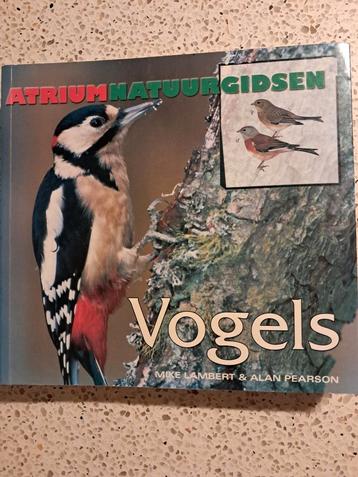 Atrium Natuurgids Vogels - Mike Lambert & Alan Pearson beschikbaar voor biedingen