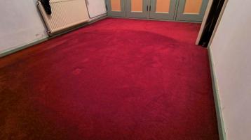 Vloerbedekking/tapijt 350cm x 250cm