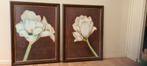 Set van twee schilderijen, bloem, magnolia, lelie, Schilderij, Gebruikt, 50 tot 75 cm, Ophalen