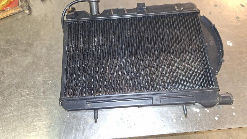 DAF 55 radiateur, Auto-onderdelen, Ophalen of Verzenden, Nieuw