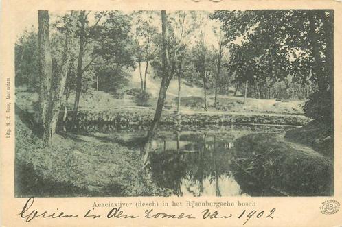(388-326-025) Driebergen-Rijsenburg Acaciavijver, Verzamelen, Ansichtkaarten | Nederland, Utrecht, Verzenden