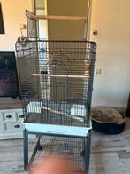 Kooi voor valkparkieten, Dieren en Toebehoren, Ophalen, Zo goed als nieuw, Vogelkooi