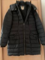 Levis winterjas, Ophalen, Zo goed als nieuw, Zwart