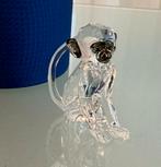Swarovski SCS - Blauwaap - Vervet Monkey - Eventstuk nieuw, Ophalen of Verzenden, Nieuw, Figuurtje