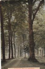 velp- beekhuizen 1910, Ophalen of Verzenden, Voor 1920, Gelderland