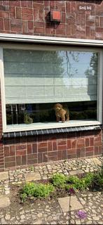 Vouwgordijn 217,5x160, Huis en Inrichting, Stoffering | Gordijnen en Lamellen, Ophalen, Zo goed als nieuw, 50 tot 100 cm, Minder dan 100 cm