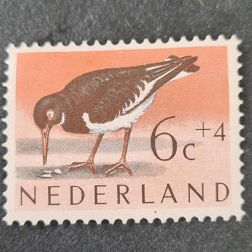 1961. Zomerzegels, vogels - scholekster beschikbaar voor biedingen