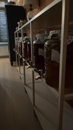 Kombucha, Diversen, Levensmiddelen, Ophalen