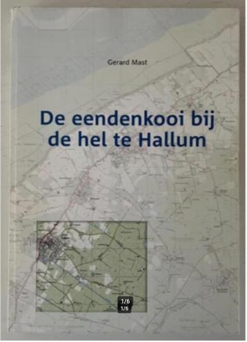 De eendenkooi bij de hel te Hallum - Gerard Mast beschikbaar voor biedingen