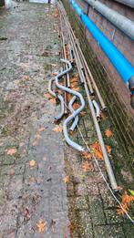 schoftboom, Dieren en Toebehoren, Stalling en Weidegang