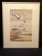 SET WAARDEVOLLE AQUARELLEN EN BOEK VOGELS ERIK VAN OMMEN, Ophalen, Nieuw, Zie beschrijving, Schilder- en Tekenkunst