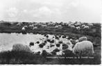 kaart Dwingeloo kudde schapen op de hei uit 1963, Ophalen of Verzenden, 1960 tot 1980, Gelopen, Drenthe