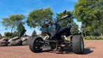 Shinaray 250cc Quad – recent onderhoud, klein werk nodig
