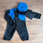 Pieten pak volwassenen, Ophalen of Verzenden, Gebruikt