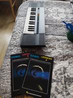 Casio Keyboard met Leerboeken, Ophalen of Verzenden, Gebruikt, 61 toetsen, Casio