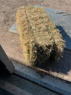 hooipakjes  hooi  hooibalen, Dieren en Toebehoren, Ophalen, Vee