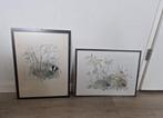 Litho schetsen das egels mads stage bossen herfst badger, Ophalen of Verzenden, Zo goed als nieuw, Minder dan 50 cm, Minder dan 50 cm