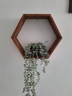 Houten hexagon / zeshoek wandplank, Ophalen, Zo goed als nieuw