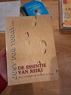 De Essentie van Reiki - Ben Verheijden & Liesbeth de Groot, Ophalen of Verzenden