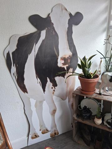 Leuke Koeien Afbeelding - Levensgroot! beschikbaar voor biedingen
