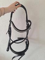 Hoofdstel Harry's horse maat cob, Ophalen of Verzenden, Nieuw, Recreatie