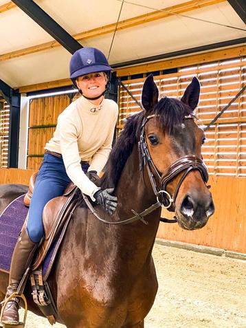 Verkoopbemiddeling paard en pony beschikbaar voor biedingen