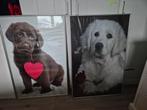 2 Fotoschilderijen incl lijst - Honden, Ophalen, 50 tot 75 cm, Zo goed als nieuw, Schilderij