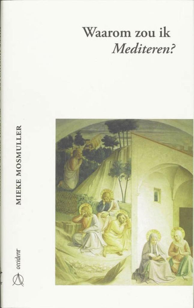 Waarom Zou Ik Mediteren - Mieke Mosmuller BOEK 9789075240207, Boeken, Godsdienst en Theologie, Zo goed als nieuw, Ophalen of Verzenden